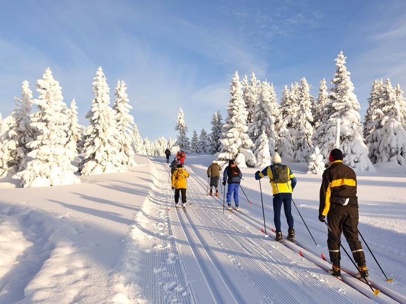 Langlaufen door besneeuwd landschap foto